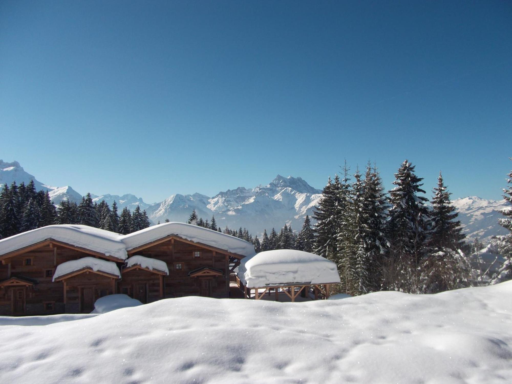 Petit Ours Apartment Villars-sur-Ollon Exterior foto